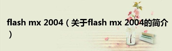 flash mx 2004（關(guān)于flash mx 2004的簡(jiǎn)介）