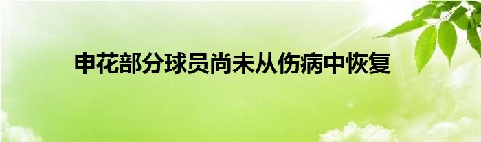  申花部分球員尚未從傷病中恢復