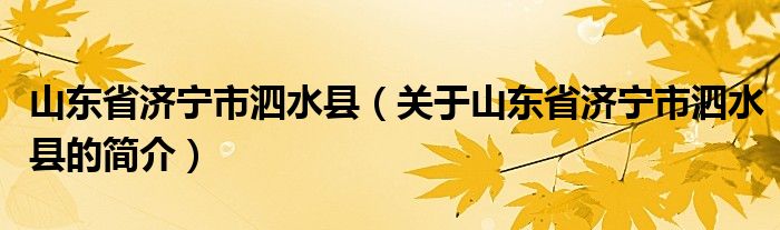 山東省濟寧市泗水縣（關(guān)于山東省濟寧市泗水縣的簡介）