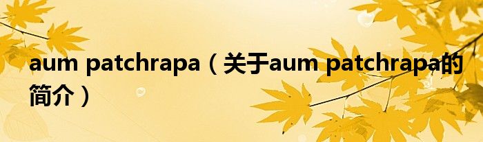 aum patchrapa（關于aum patchrapa的簡介）