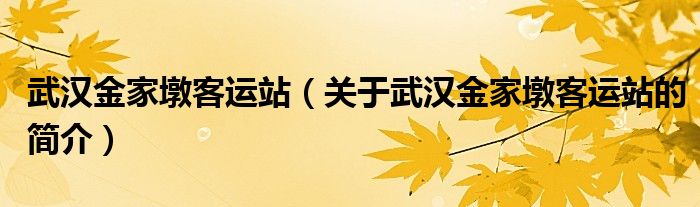 武漢金家墩客運站（關(guān)于武漢金家墩客運站的簡介）