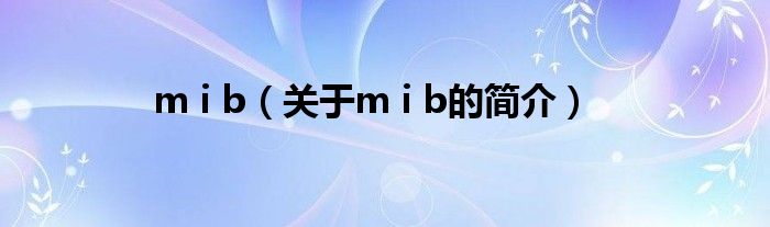 m i b（關于m i b的簡介）