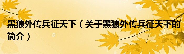 黑狼外傳兵征天下（關(guān)于黑狼外傳兵征天下的簡介）