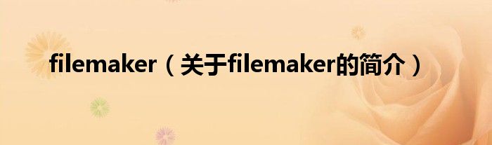 filemaker（關(guān)于filemaker的簡介）