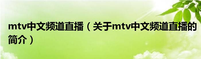 mtv中文頻道直播（關(guān)于mtv中文頻道直播的簡介）