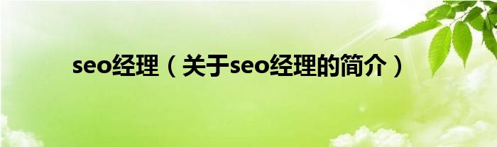 seo經(jīng)理（關(guān)于seo經(jīng)理的簡(jiǎn)介）