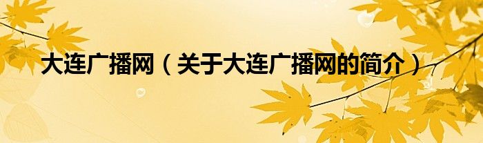 大連廣播網(wǎng)（關(guān)于大連廣播網(wǎng)的簡(jiǎn)介）