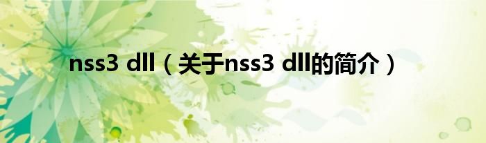 nss3 dll（關(guān)于nss3 dll的簡介）