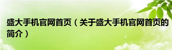 盛大手機(jī)官網(wǎng)首頁（關(guān)于盛大手機(jī)官網(wǎng)首頁的簡介）