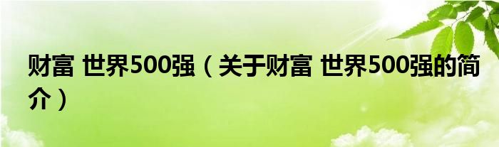 財富 世界500強(qiáng)（關(guān)于財富 世界500強(qiáng)的簡介）