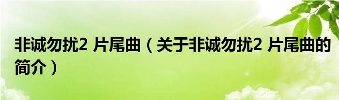 非誠勿擾2 片尾曲（關(guān)于非誠勿擾2 片尾曲的簡介）