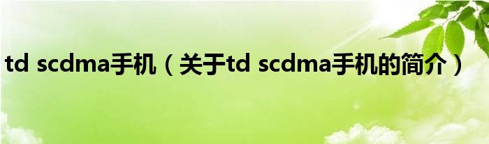 td scdma手機（關(guān)于td scdma手機的簡介）