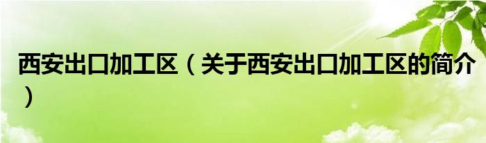 西安出口加工區(qū)（關于西安出口加工區(qū)的簡介）