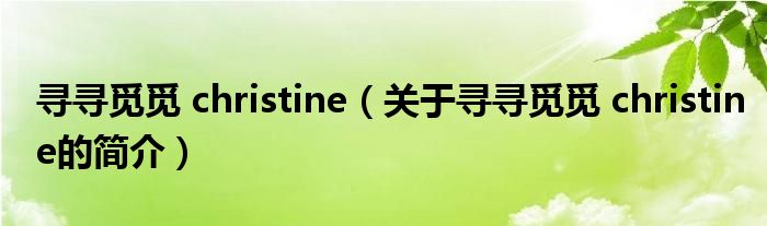 尋尋覓覓 christine（關(guān)于尋尋覓覓 christine的簡(jiǎn)介）