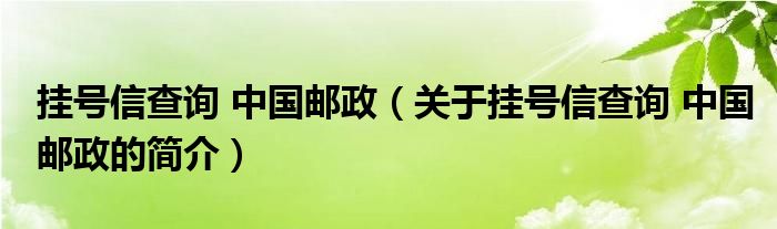 掛號(hào)信查詢(xún) 中國(guó)郵政（關(guān)于掛號(hào)信查詢(xún) 中國(guó)郵政的簡(jiǎn)介）