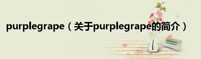 purplegrape（關(guān)于purplegrape的簡(jiǎn)介）