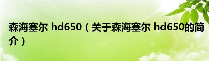 森海塞爾 hd650（關(guān)于森海塞爾 hd650的簡介）