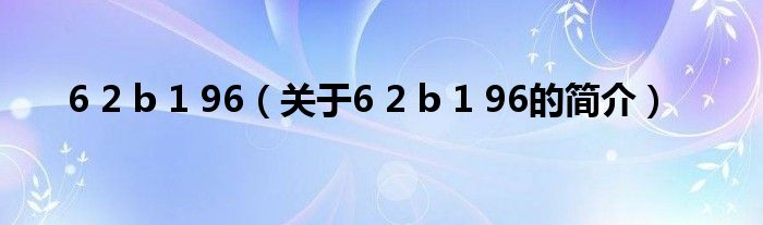 6 2 b 1 96（關于6 2 b 1 96的簡介）