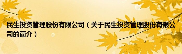 民生投資管理股份有限公司（關(guān)于民生投資管理股份有限公司的簡(jiǎn)介）