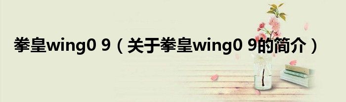 拳皇wing0 9（關(guān)于拳皇wing0 9的簡介）