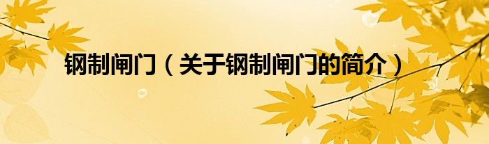 鋼制閘門(mén)（關(guān)于鋼制閘門(mén)的簡(jiǎn)介）