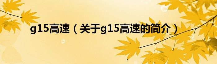 g15高速（關(guān)于g15高速的簡介）