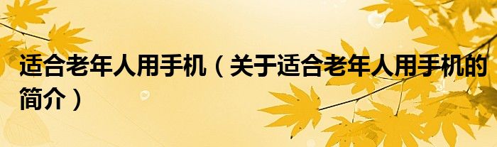 適合老年人用手機(jī)（關(guān)于適合老年人用手機(jī)的簡介）