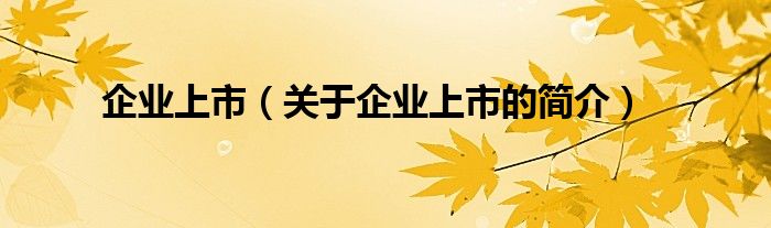 企業(yè)上市（關(guān)于企業(yè)上市的簡介）