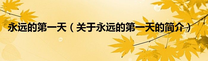 永遠(yuǎn)的第一天（關(guān)于永遠(yuǎn)的第一天的簡介）