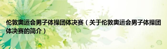 倫敦奧運(yùn)會(huì)男子體操團(tuán)體決賽（關(guān)于倫敦奧運(yùn)會(huì)男子體操團(tuán)體決賽的簡(jiǎn)介）