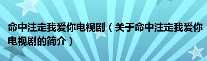 命中注定我愛你電視?。P(guān)于命中注定我愛你電視劇的簡介）