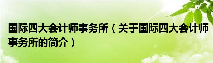 國際四大會計師事務所（關于國際四大會計師事務所的簡介）