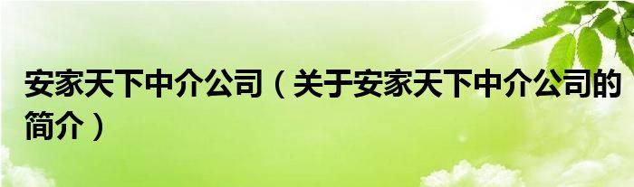 安家天下中介公司（關(guān)于安家天下中介公司的簡介）