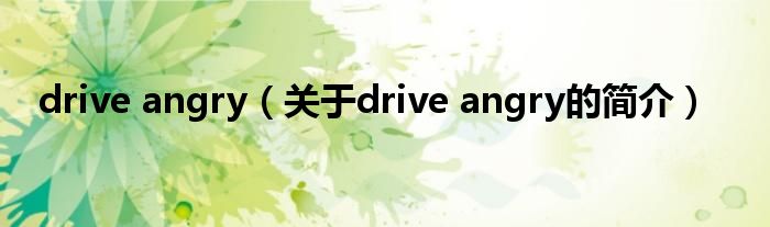 drive angry（關于drive angry的簡介）