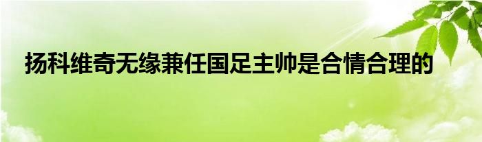 揚科維奇無緣兼任國足主帥是合情合理的