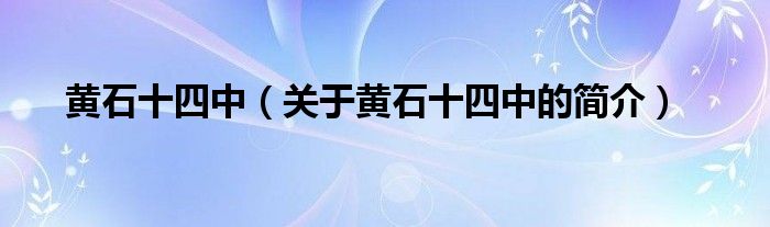 黃石十四中（關(guān)于黃石十四中的簡(jiǎn)介）