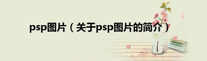 psp圖片（關(guān)于psp圖片的簡(jiǎn)介）