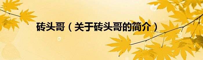 磚頭哥（關(guān)于磚頭哥的簡(jiǎn)介）