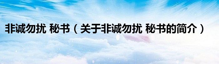 非誠(chéng)勿擾 秘書（關(guān)于非誠(chéng)勿擾 秘書的簡(jiǎn)介）