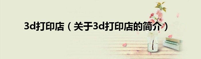 3d打印店（關于3d打印店的簡介）