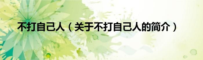 不打自己人（關(guān)于不打自己人的簡(jiǎn)介）