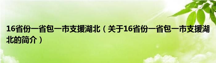 16省份一省包一市支援湖北（關(guān)于16省份一省包一市支援湖北的簡介）