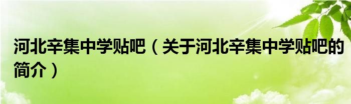 河北辛集中學(xué)貼吧（關(guān)于河北辛集中學(xué)貼吧的簡(jiǎn)介）