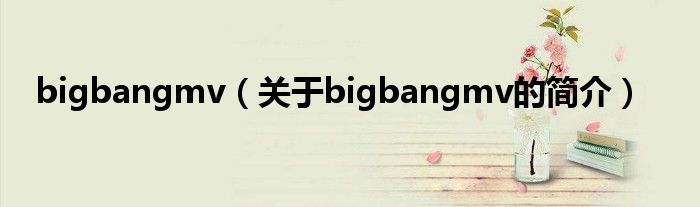 bigbangmv（關(guān)于bigbangmv的簡介）