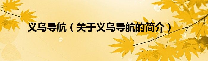 義烏導(dǎo)航（關(guān)于義烏導(dǎo)航的簡介）