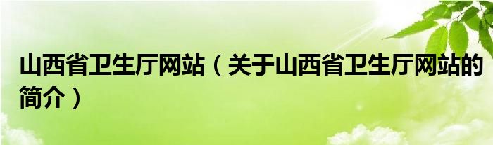 山西省衛(wèi)生廳網站（關于山西省衛(wèi)生廳網站的簡介）