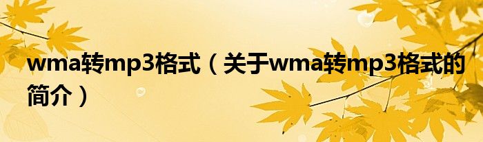 wma轉(zhuǎn)mp3格式（關(guān)于wma轉(zhuǎn)mp3格式的簡介）