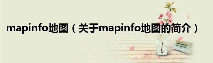 mapinfo地圖（關(guān)于mapinfo地圖的簡介）