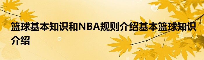 籃球基本知識(shí)和NBA規(guī)則介紹基本籃球知識(shí)介紹