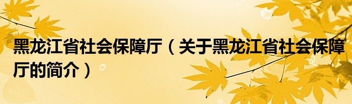 黑龍江省社會(huì)保障廳（關(guān)于黑龍江省社會(huì)保障廳的簡介）